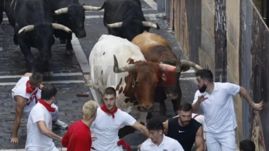 Photo of Уште шест лица повредени во трката со бикови во Памплона