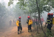 Photo of Јавниот повик за прием на 400 пожарникари завршува во четврток, најдобрите ќе бидат дел од новата специјална единица на ДЗС