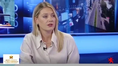 Photo of Митева: Извештајот на ГРЕКО ја покажува работата на Владата и движењето на Македонија во правилна насока