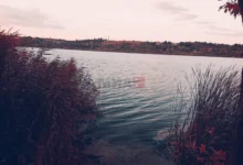 Photo of Квалитетот на водата на „Езеро Младост“ полош од лани, итно да реализираат одамна донесени мерки за спас на езерото