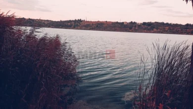 Photo of Квалитетот на водата на „Езеро Младост“ полош од лани, итно да реализираат одамна донесени мерки за спас на езерото