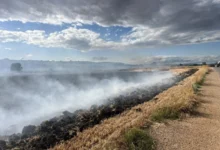 Photo of Локализирани поголем дел од пожарите во Куманово и Старо Нагоричане
