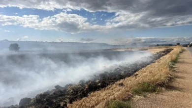 Photo of Локализирани поголем дел од пожарите во Куманово и Старо Нагоричане