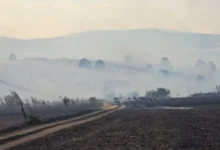 Photo of Изгаснат пожарот кај Мршевци, активен е еден во Велешко, а четири се под контрола