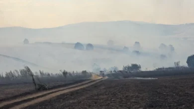 Photo of Изгаснат пожарот кај Мршевци, активен е еден во Велешко, а четири се под контрола