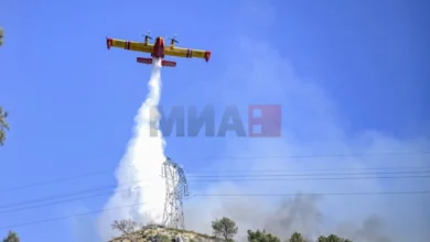 Photo of Голем шумски пожар предизвика сериозна штета на југот на Франција
