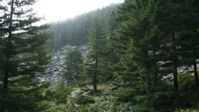 Photo of Успешно евакуиран повреден планинар кај камењарот на Пелистер
