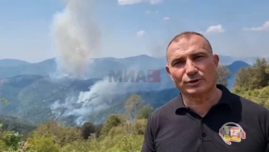 Photo of Ангелов: Пожарот на Готен не може да загрози ниту едно село, пожарот кај Желино постојано некој го потпалува