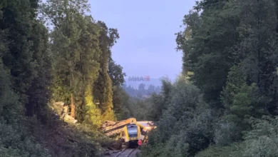 Photo of Тројца загинати, десетици повредени во вчерашната железничка несреќа во југозападна Германија