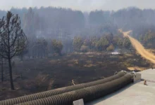 Photo of На пожарот на планината Готен се дејствува и од земја и од воздух