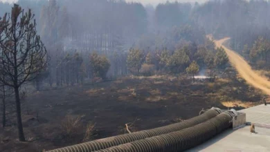 Photo of На пожарот на планината Готен се дејствува и од земја и од воздух
