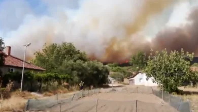 Photo of Попладнево избувна голем пожар кај валандовско Грчиште, изгорени неколку штали