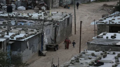 Photo of Специјалната известувачка на ОН: Израел води политика на апартхејд и геноцид