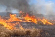 Photo of Тошковски: Расветлени се мотивите за дел од случаите со пожарите кои настанаа изминатиот период