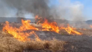 Photo of Тошковски: Расветлени се мотивите за дел од случаите со пожарите кои настанаа изминатиот период