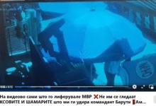 Photo of (ВИДЕО) ДАНЕЛА ОБЈАВИ СНИМКА ОД ТЕПАЊЕТО ВО ЧАИР: Како не ви е срам лавови вмровски, да го браните командантов на ОВК