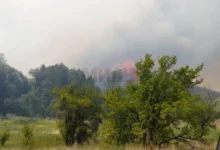 Photo of ЦУК: Регистрирани 12 пожари на отворен простор, четири сè уште активни