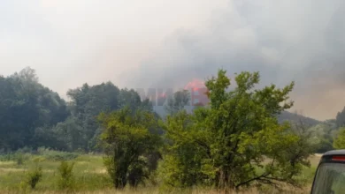 Photo of ЦУК: Регистрирани 12 пожари на отворен простор, четири сè уште активни