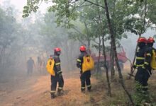 Photo of (ВИДЕО) Два грчки канадери доаѓаат на помош за гаснење на големиот пожар во селото Николиќ во Дојран