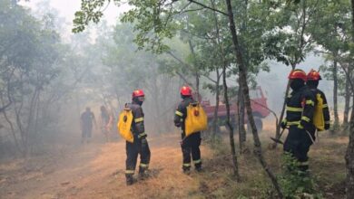 Photo of (ВИДЕО) Два грчки канадери доаѓаат на помош за гаснење на големиот пожар во селото Николиќ во Дојран