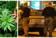 Photo of Повторно ограбена фабриката за марихуана во Карбинци која ја обезбедува МВР – Овојпат се украдени клима-уредите