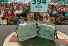 Photo of Чини колку една гарсониера: Продадено најскапото сирење на светот