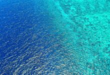 Photo of Грчкиот остров прогласен за место со најбистра вода на светот