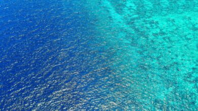 Photo of Грчкиот остров прогласен за место со најбистра вода на светот