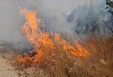Photo of ЦУК: Во Македонија денеска активни се 29 пожари