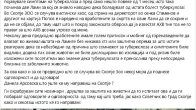 Photo of Кирков: Поморот во куќата на стравот продолжува – во Скопје ЗОО починаа уште две лами