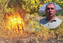 Photo of Ангелов: Пронајдени дрвени палети полиени со бензин, некој намерно се обидува да го реактивира пожарот во Блаце