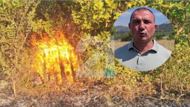 Photo of Ангелов: Пронајдени дрвени палети полиени со бензин, некој намерно се обидува да го реактивира пожарот во Блаце