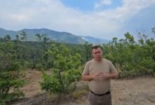 Photo of Од удар на гром се запали Беласица на грчка територија