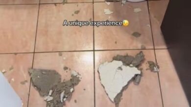 Photo of (Видео) Спортистка објави снимка од сместувањето во Македонија – паднала плоча од спуштениот плафон во бањата