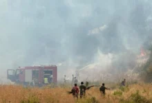 Photo of Беснеат 14 пожари во Албанија, се очекува да пристигнат хеликоптери од ОАР, Грција и други земји од ЕУ