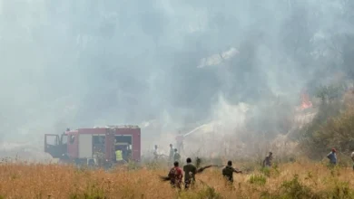 Photo of Беснеат 14 пожари во Албанија, се очекува да пристигнат хеликоптери од ОАР, Грција и други земји од ЕУ