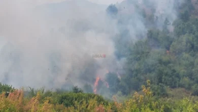 Photo of Затворен за сообраќај патот од Брезница преку НП „Јасен“ до Македонски Брод