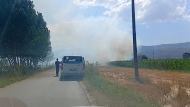 Photo of Прва жртва од пожар во Албанија, наредена е евакуација на три села во Грамш