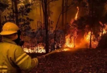 Photo of ЦУК:Активни пожари во Јасен, Свиларе, Радуша и уште четири локации