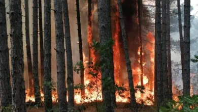 Photo of Пожарот во Тетовско и понатаму активен откако се разгоре два часа пред полноќ