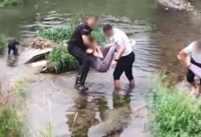 Photo of ВИДЕО: Полицијата ја спаси жената што се фрли во водите на реката Вардар