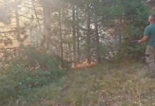 Photo of Ангелов: Пожарот во Јасен се влошува, но со брза интервенција е запрен