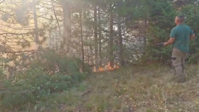 Photo of Ангелов: Пожарот во Јасен се влошува, но со брза интервенција е запрен