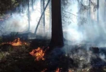 Photo of ЦУК: Активни пожари во „Јасен“ и во село Калдирец на планината Китка