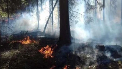 Photo of ЦУК: Активни пожари во „Јасен“ и во село Калдирец на планината Китка