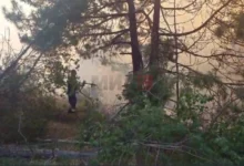Photo of ЦУК: Се уште активен пожарот во „Јасен“, изгаснати 12 пожари