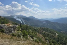 Photo of ЦУК: Активни пожари нема, под контрола тој во природниот резерват Јасен