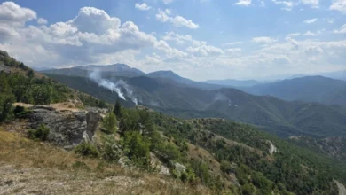 Photo of ЦУК: Активни пожари нема, под контрола тој во природниот резерват Јасен