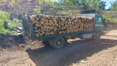 Photo of Лишени од слобода дрвокрадци во Старо Нагоричане, се обиделе да избегаат и прегазат полициски службеници