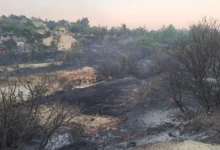 Photo of Американски извештај: Фрлена цигара е причината за пожарот во Лимасол со две жртви